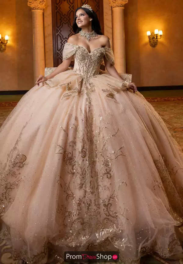 Vizcaya Quinceanera 4080003