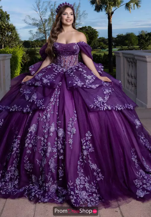 Vizcaya Quinceanera 4080027