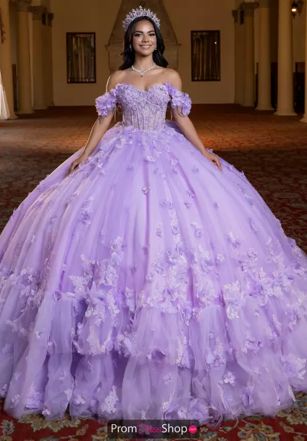 Vizcaya Quinceanera 4080024
