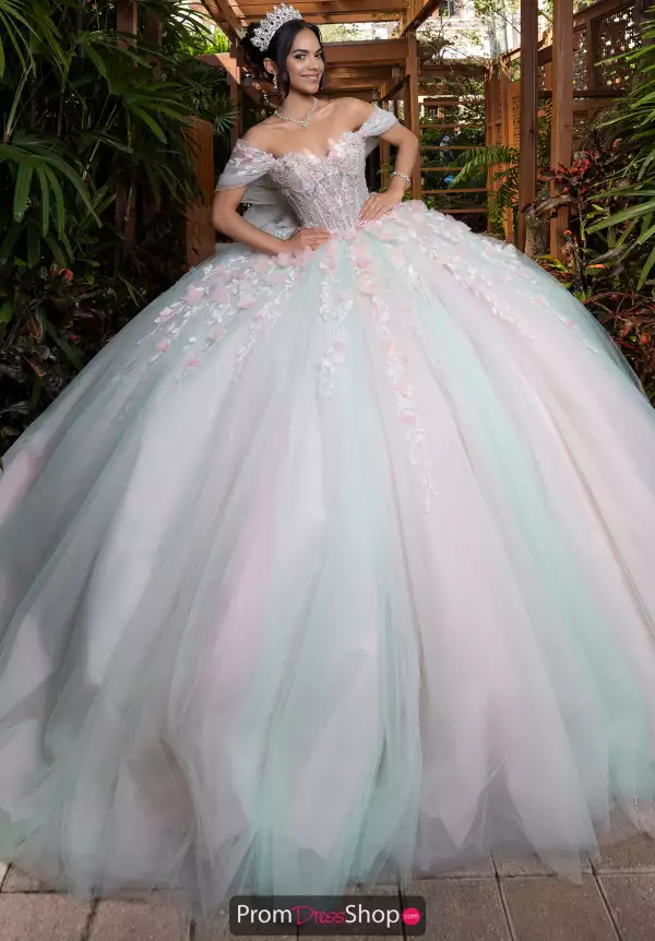 Vizcaya Quinceanera 4080001