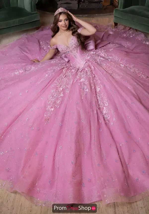 Vizcaya Quinceanera 4080029