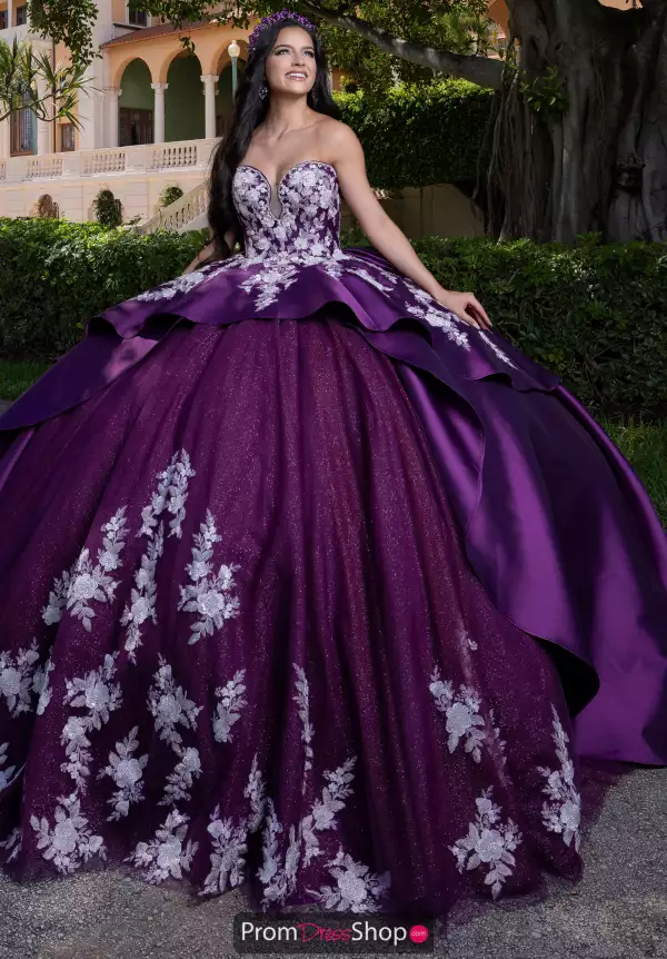 Vizcaya Quinceanera 4080016