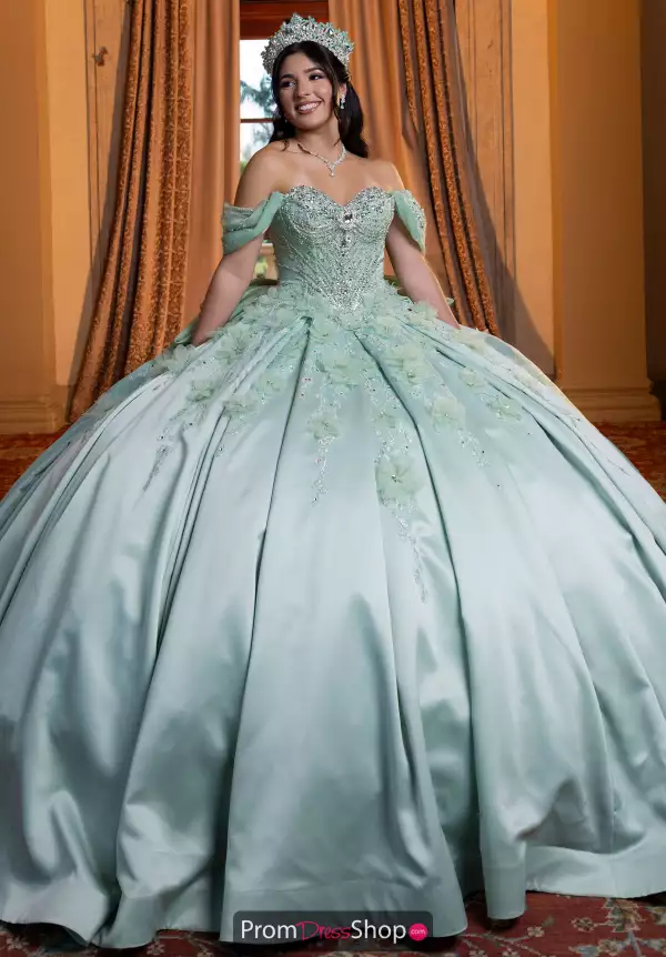 Vizcaya Quinceanera 4080006