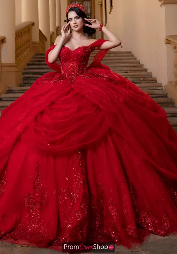 Vizcaya Quinceanera 4080019