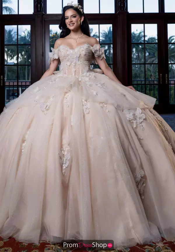 Vizcaya Quinceanera 4080017