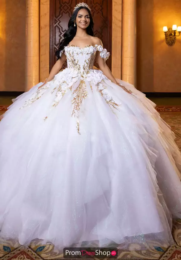 Vizcaya Quinceanera 4080020