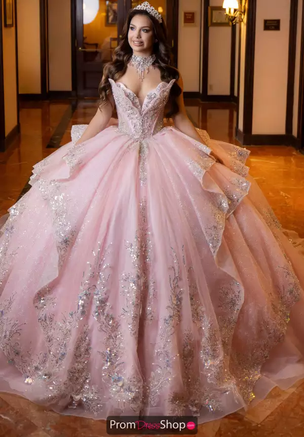 Vizcaya Quinceanera 4080025
