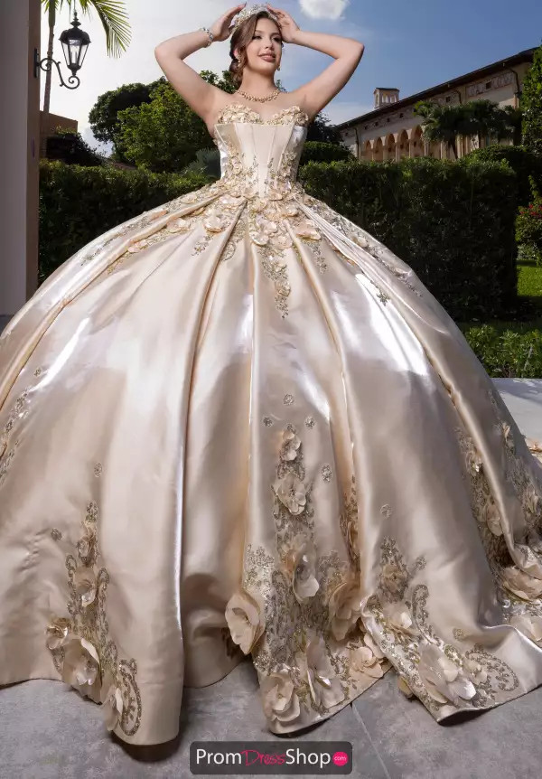 Vizcaya Quinceanera 4080033