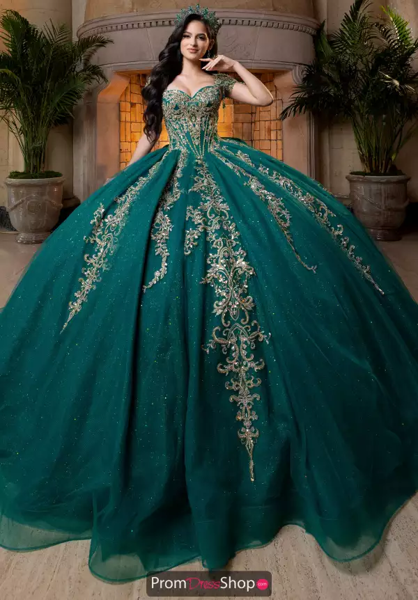 Vizcaya Quinceanera 4080026