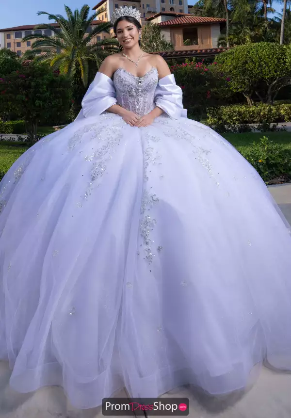Vizcaya Quinceanera 4080008