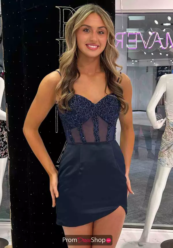 Sheer Illusion Satin Short Dress 4437