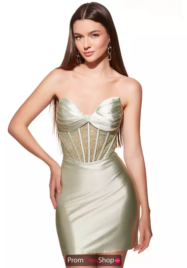 Alyce Paris 40054