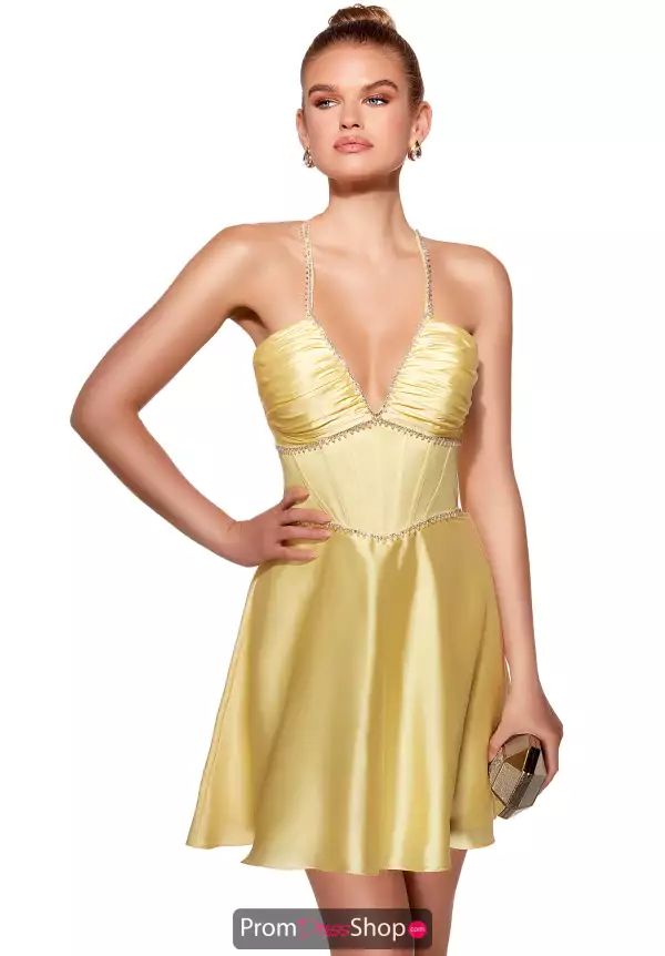 Alyce Paris 40063