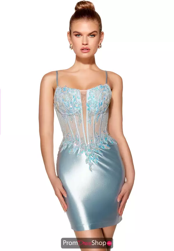 Alyce Paris 40041