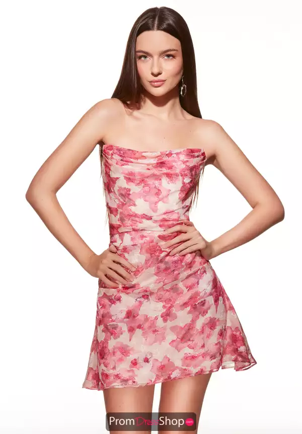Alyce Paris 40079