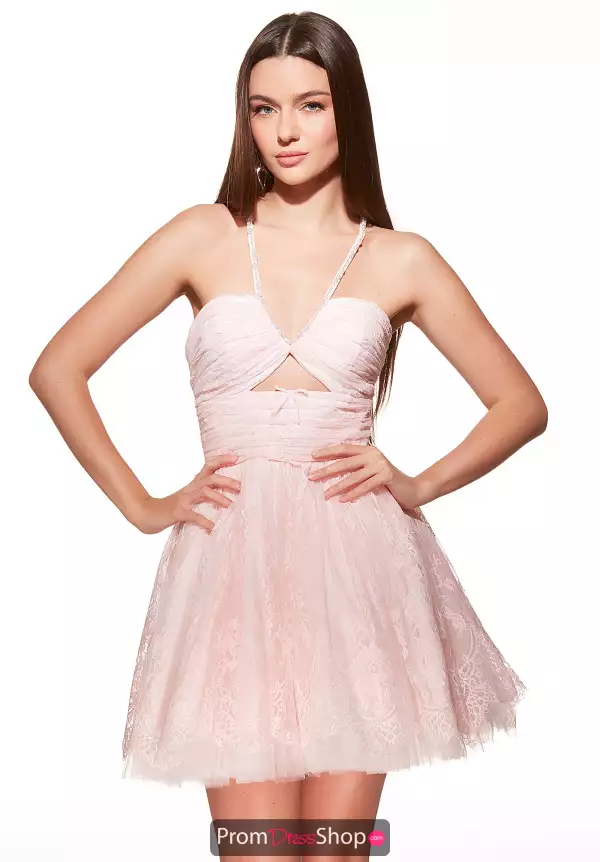 Alyce Paris 30030