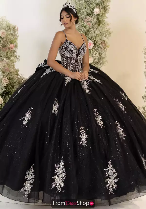 LizLuo Quinceanera 56559