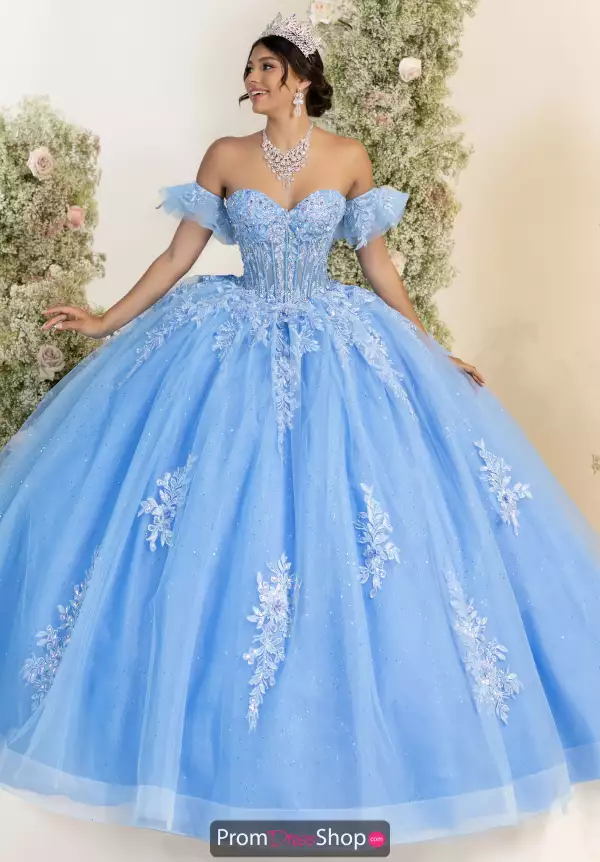 LizLuo Quinceanera 56553