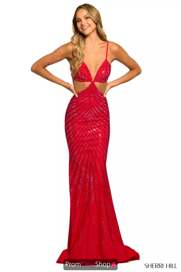 Sherri Hill Long Dress 55518