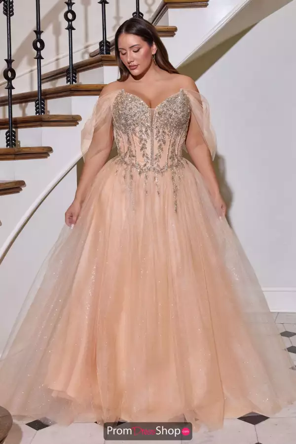 La Divine by Cinderella CD721C