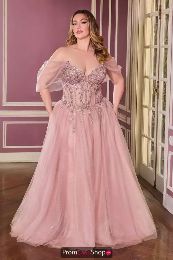 La Divine by Cinderella CD721C