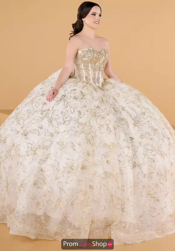 Quinceanera Collections 56569