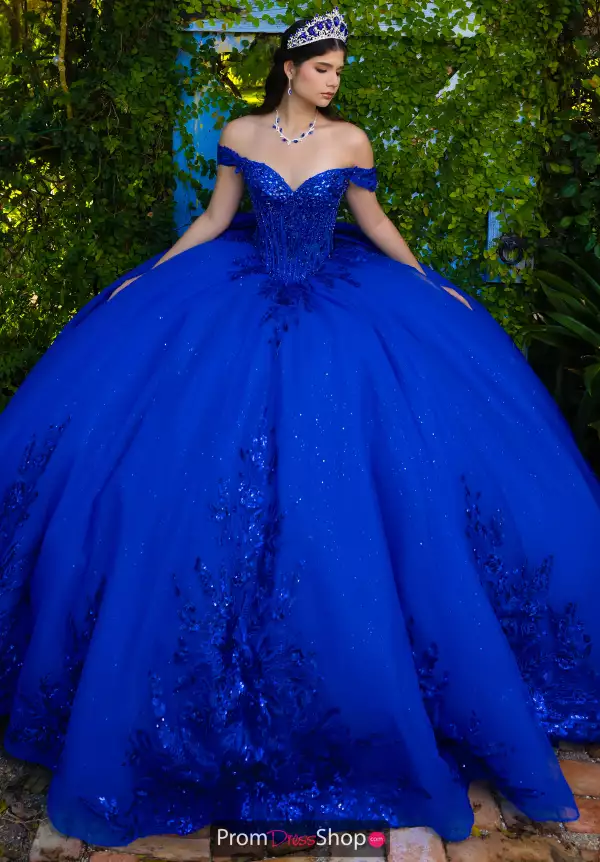 Quinceanera Collections 56568