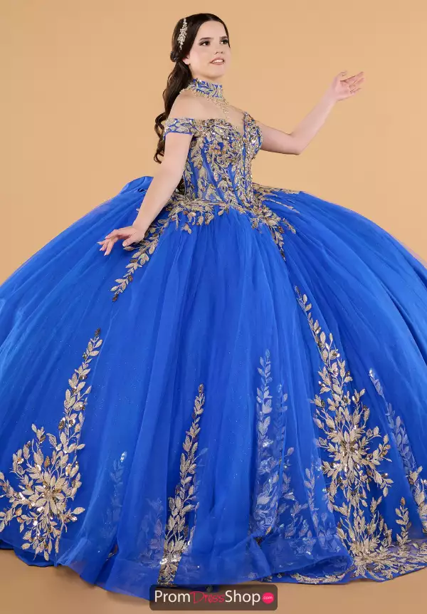 Quinceanera Collections 26146