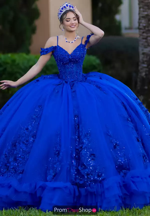Quinceanera Collections 26141