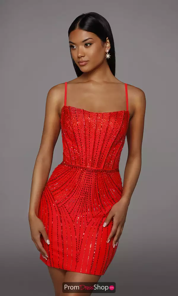 Alyce Paris 40220