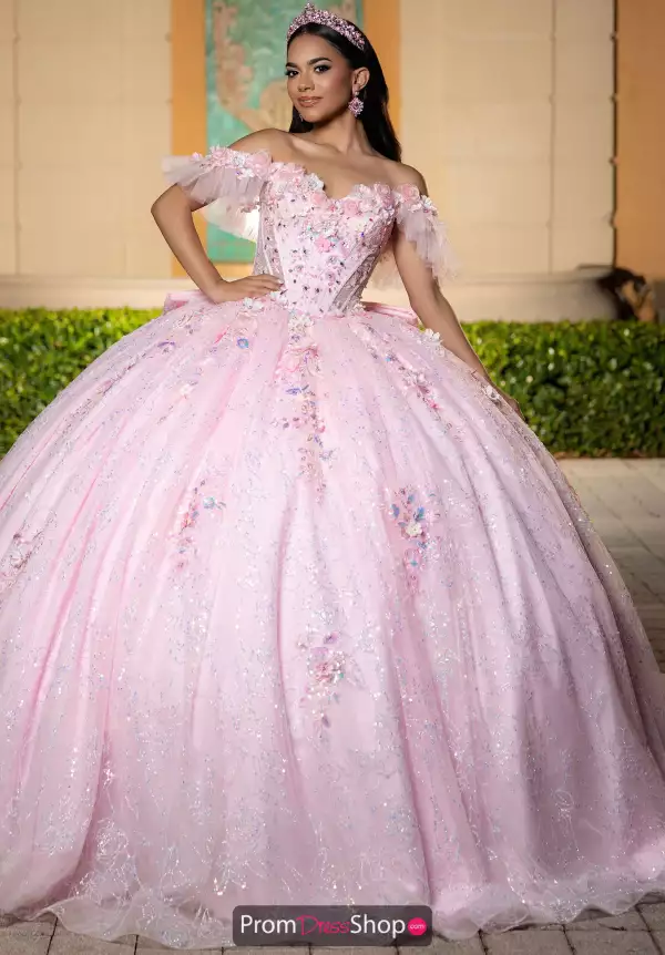 Vizcaya Quinceanera 4080049