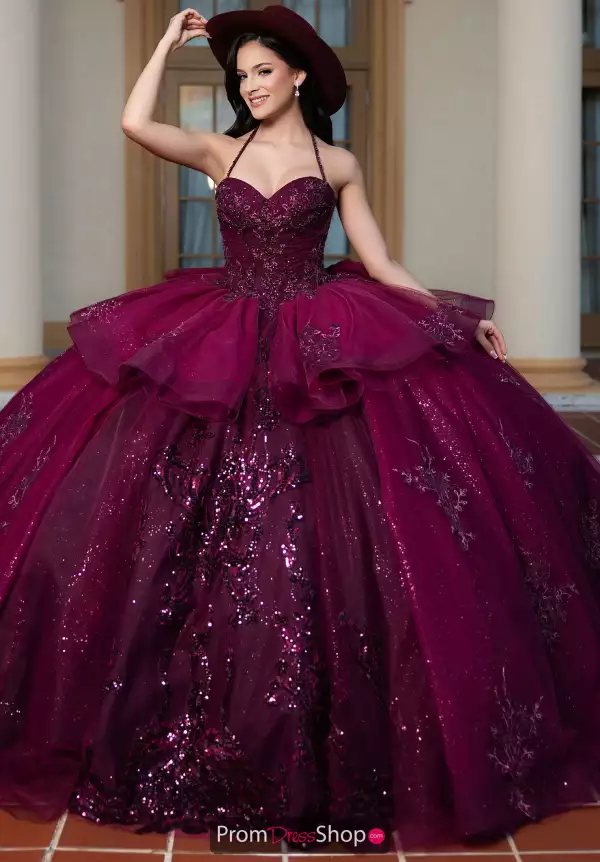 Vizcaya Quinceanera 4080056
