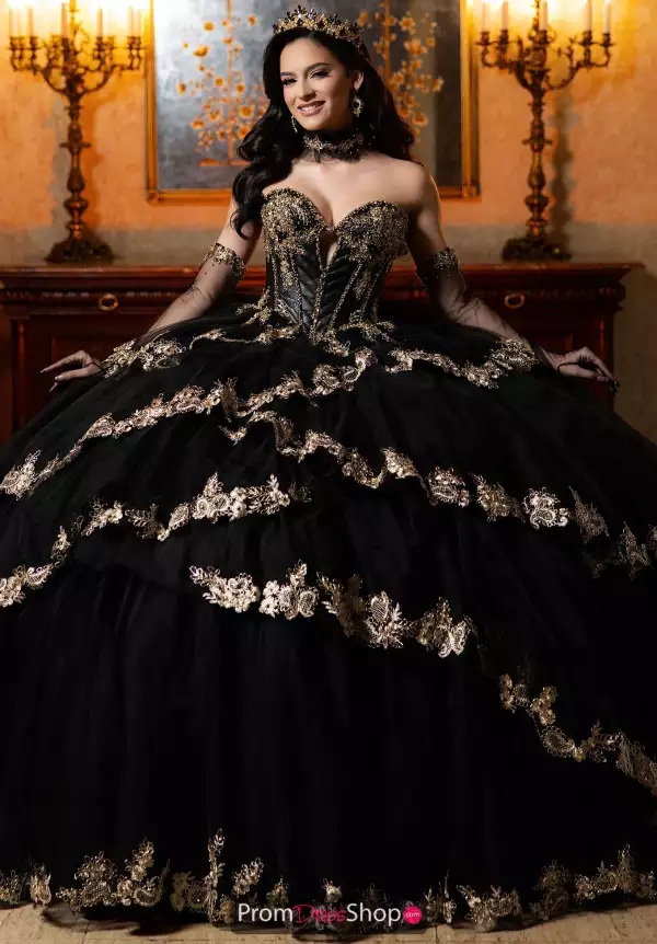 Vizcaya Quinceanera 4080040