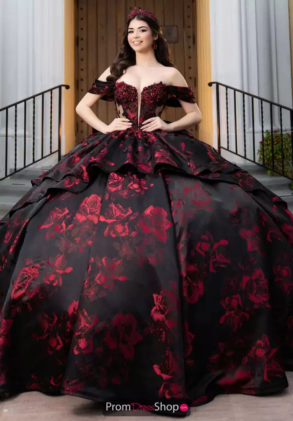 Vizcaya Quinceanera 4080047