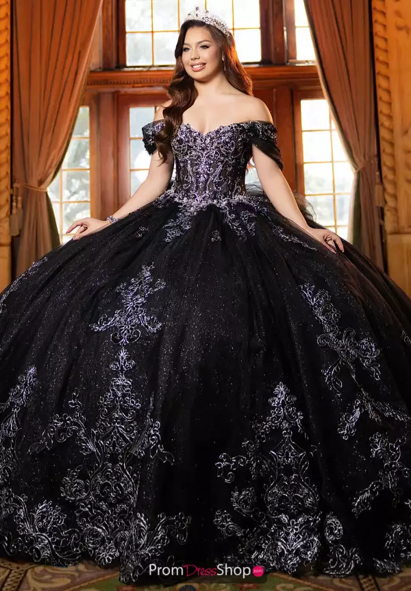 Vizcaya Quinceanera 4080045