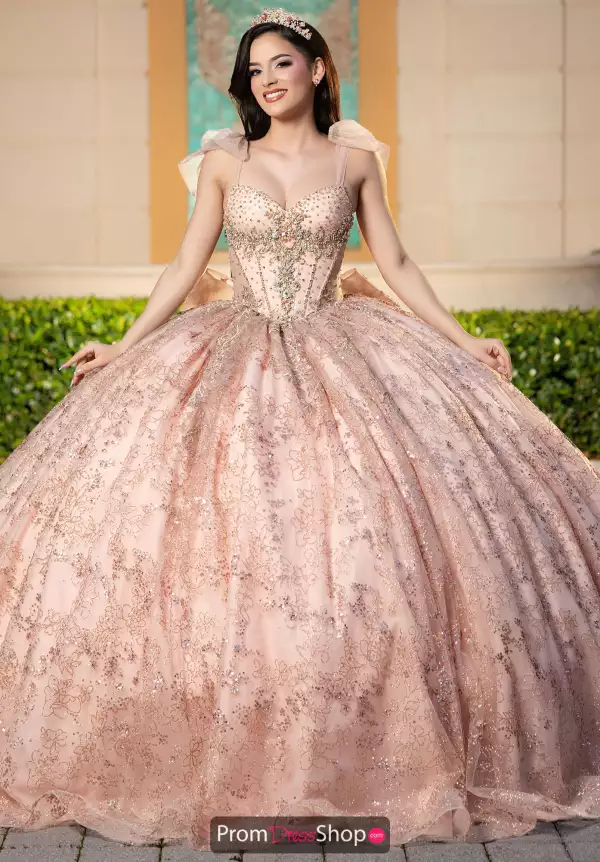 Vizcaya Quinceanera 4080043