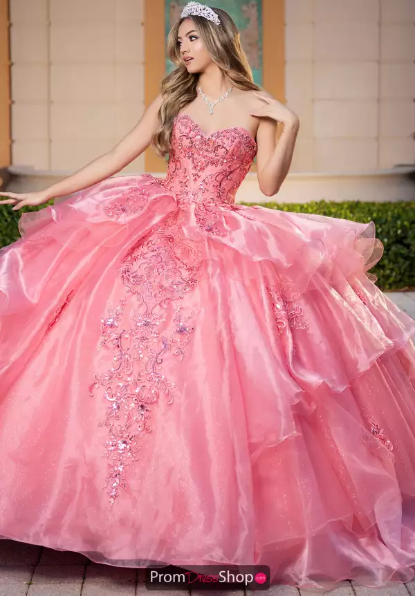 Vizcaya Quinceanera 4080064
