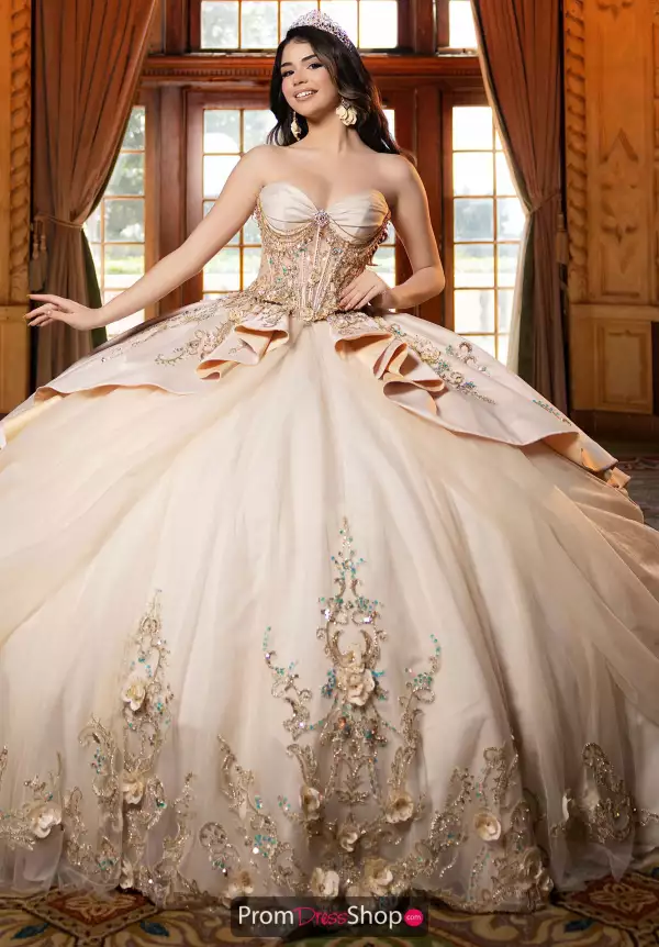 Vizcaya Quinceanera 4080042