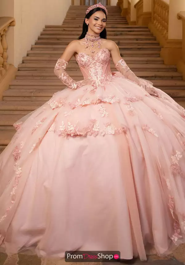 Vizcaya Quinceanera 4080071