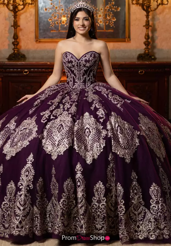 Vizcaya Quinceanera 4080069