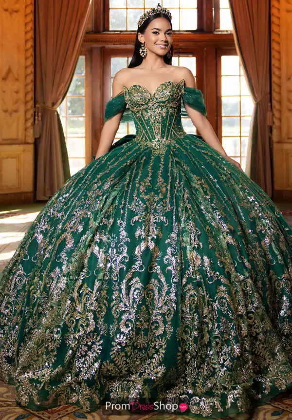 Vizcaya Quinceanera 4080053