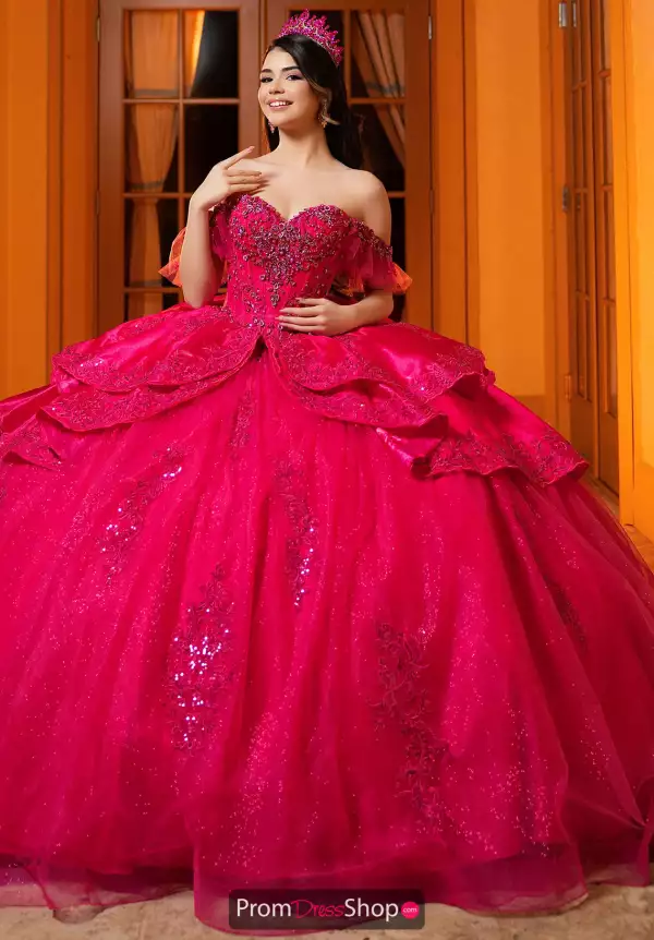 Vizcaya Quinceanera 4080068