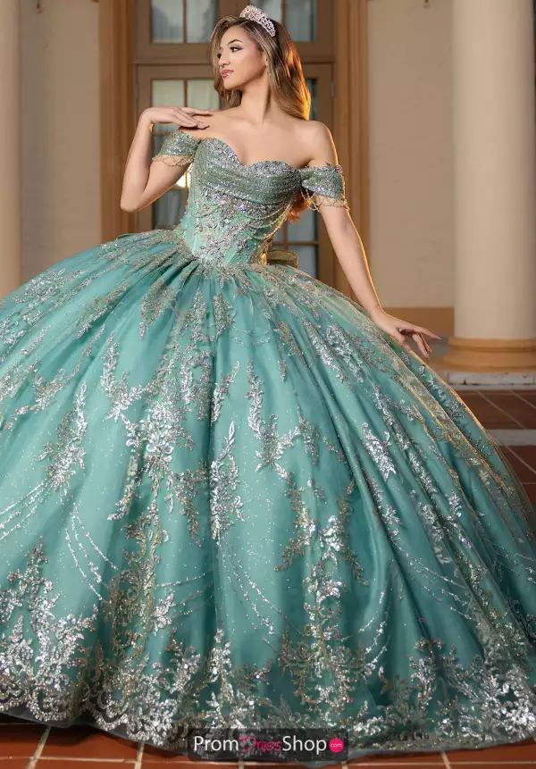 Vizcaya Quinceanera 4080061