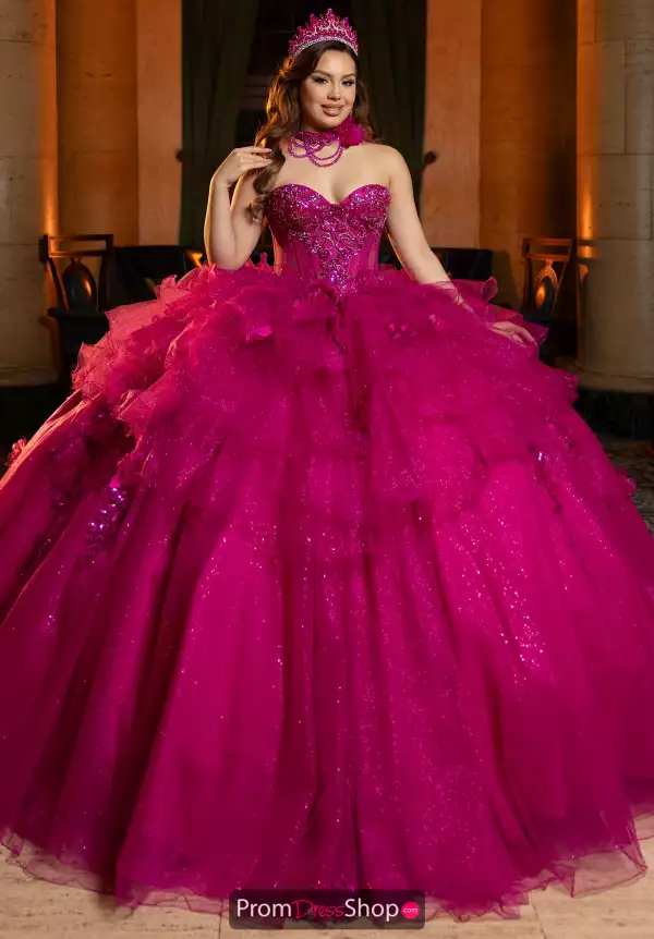 Vizcaya Quinceanera 4080048