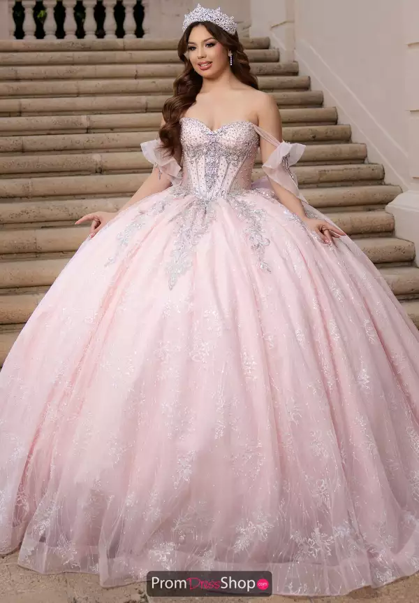 Vizcaya Quinceanera 4080060