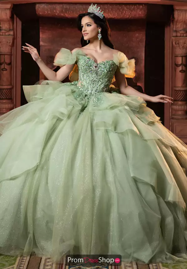 Vizcaya Quinceanera 4080066