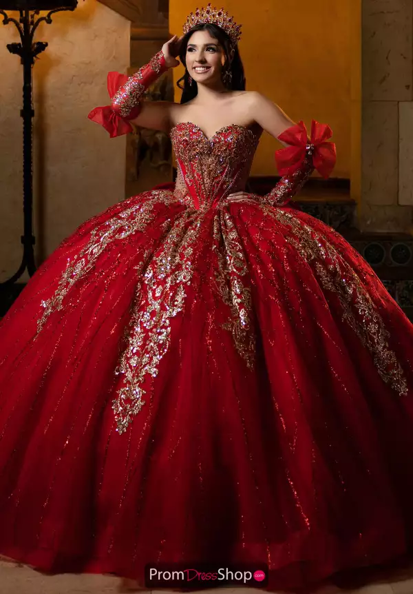 Vizcaya Quinceanera 4080059