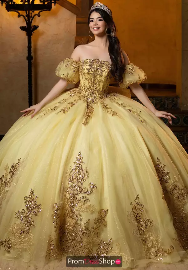 Vizcaya Quinceanera 4080052