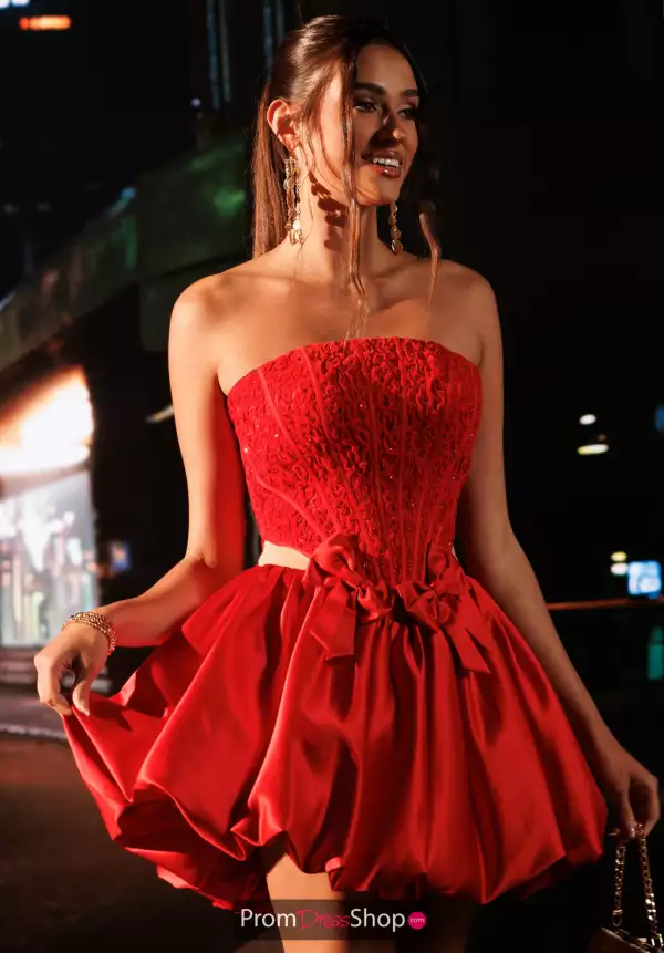 Rachel Allan 40766