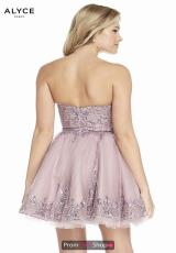 Cashmere Rose